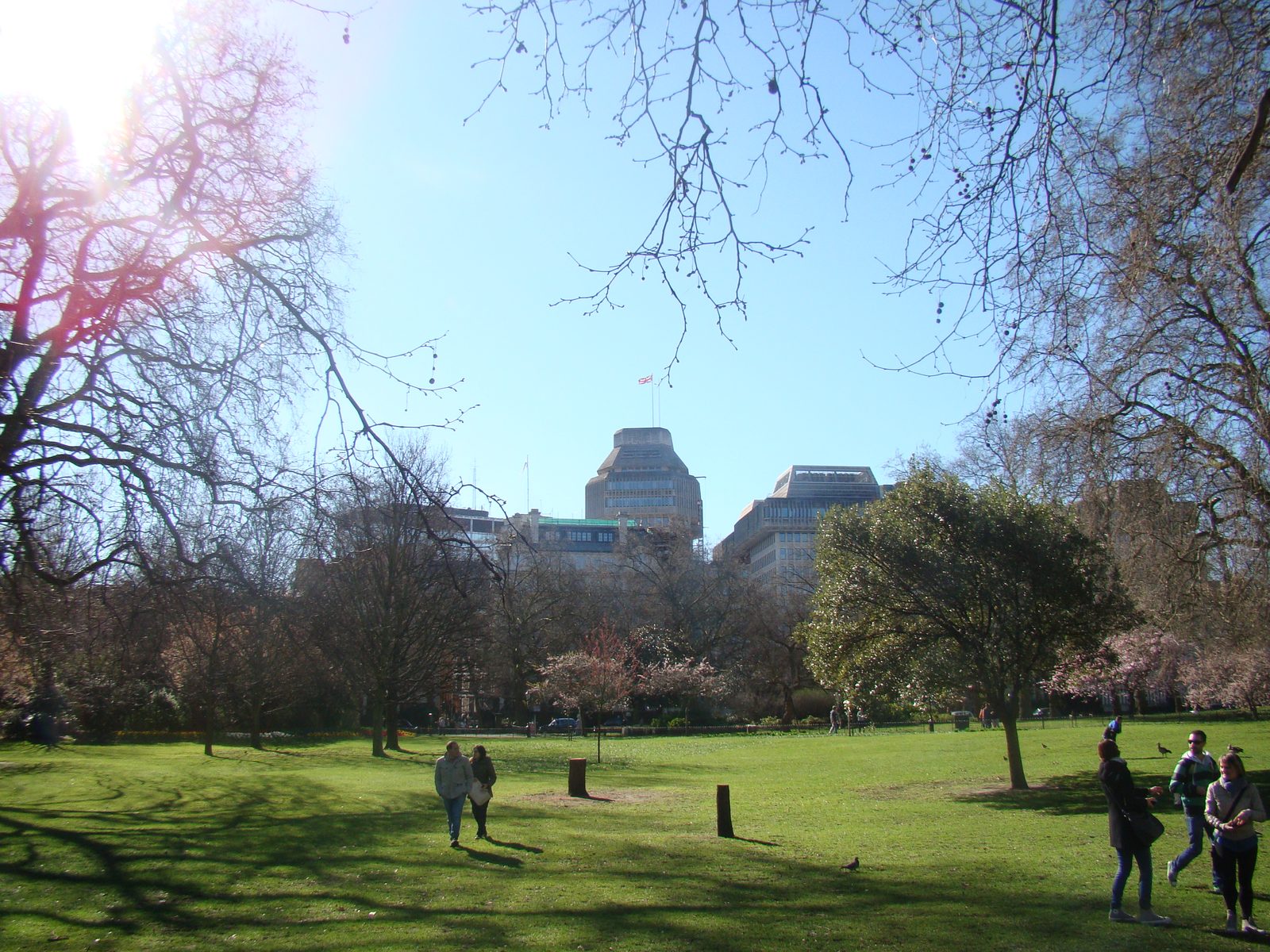 The Ministry of Justice buildings on Petty France in London, seen across St James's Park